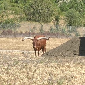 Meet your Posher, Alexa